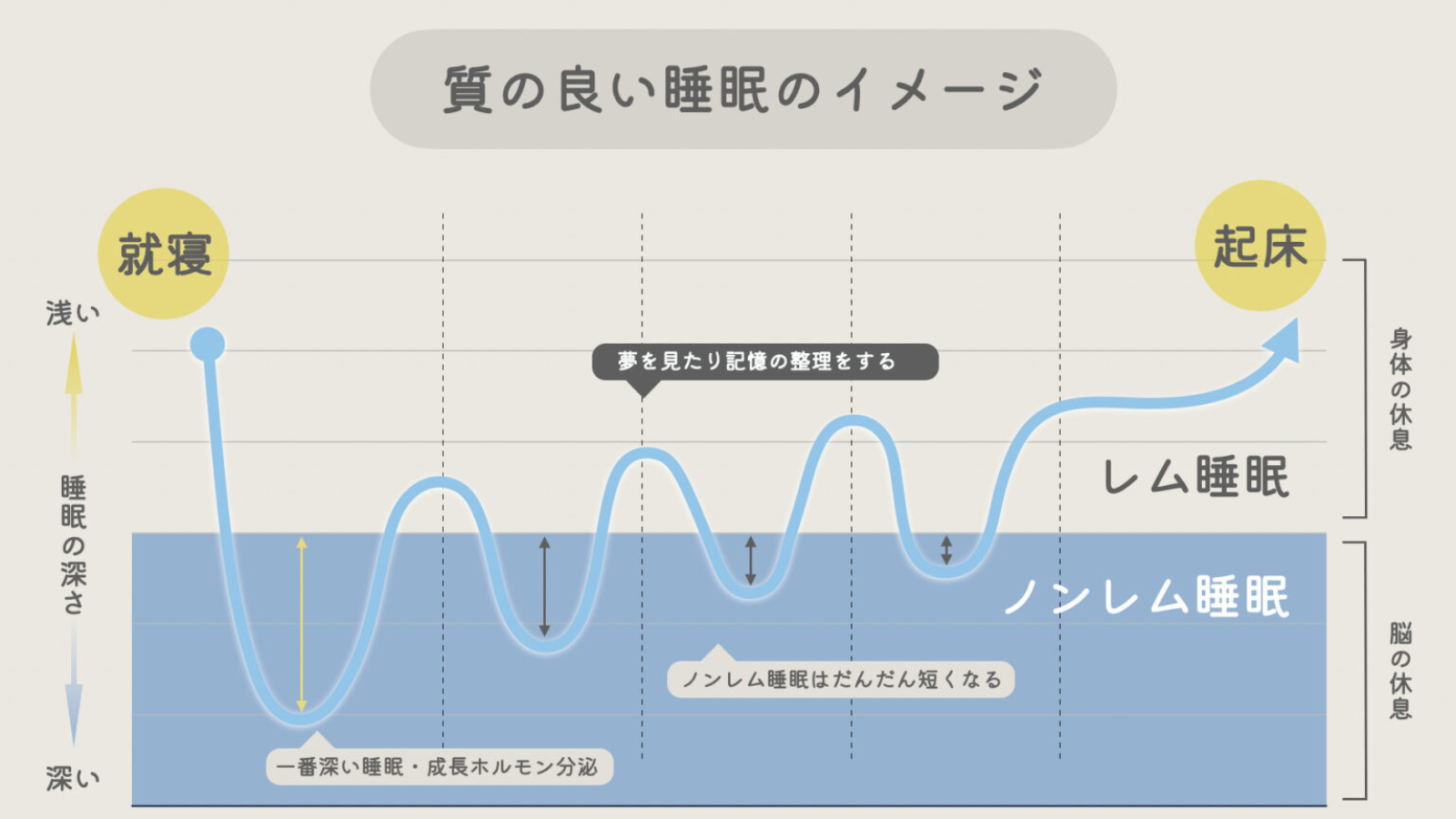 不眠の原因はホルモンバランスの乱れ？