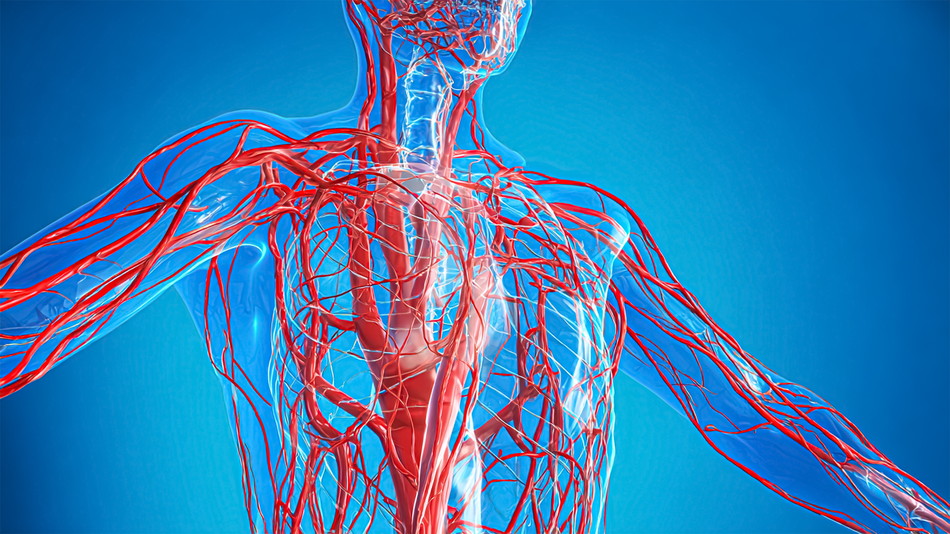 命は内側から流れ出す ― インサイドアウトで読み解く循環の叡智