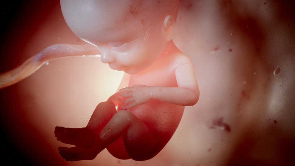 赤ちゃんが育つ子宮環境とは？整え方